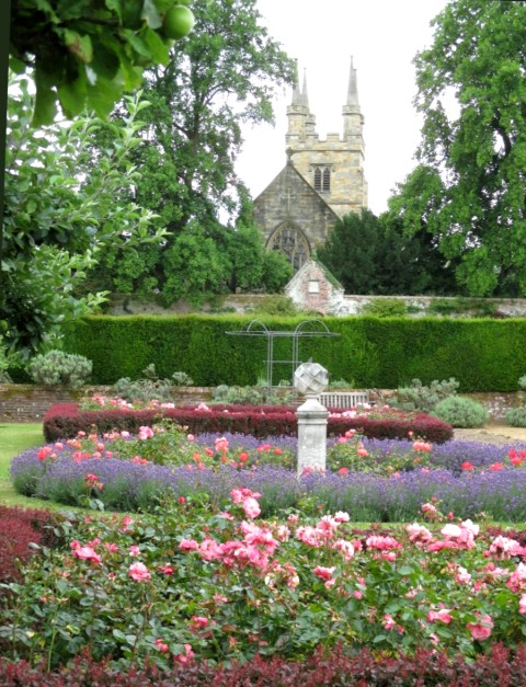 Rose beds at Penshurst Place gardens with the church behind, Kent, UK