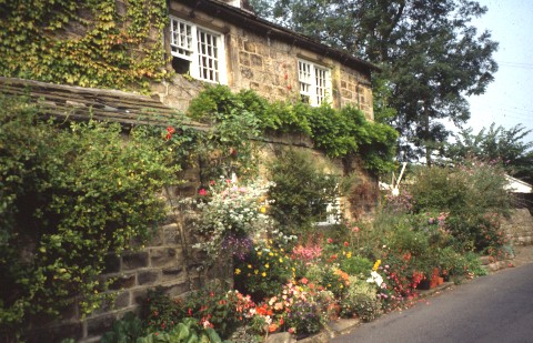 An 18<sup><small>th</small></sup> century Yorkshire stone cottage built of mill-stone grit sandstone with its front plantings flowing onto the edge of the public lane.