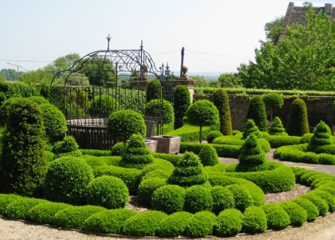 Complex box topiary at Bourton House, Cotswolds.