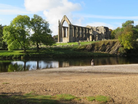 A view of the ruins of Bolton Priory beside the River Wharfe, Yorkshire, UK
