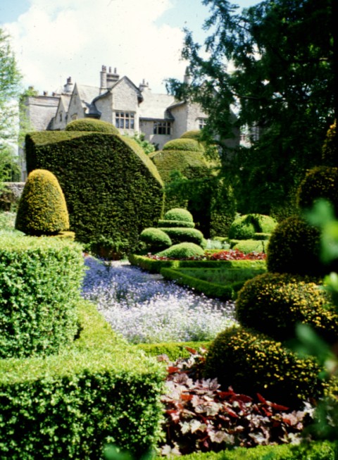 The 17C yew topiary at Levens Hall, Cumbria.